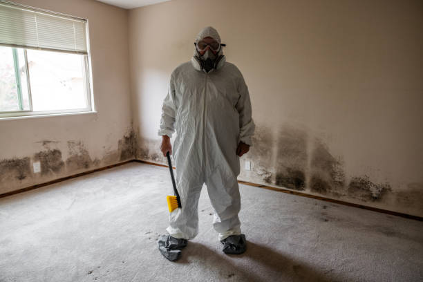 Trusted Greenwood, LA Mold Remediation Experts